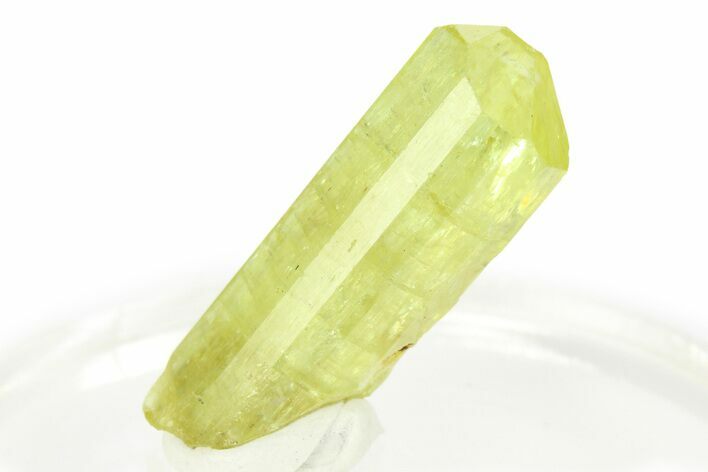 Gemmy Yellow-Green Apatite Crystal - Morocco #276540